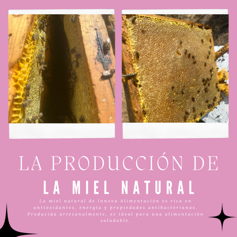 La producción de la miel natural y artesanal